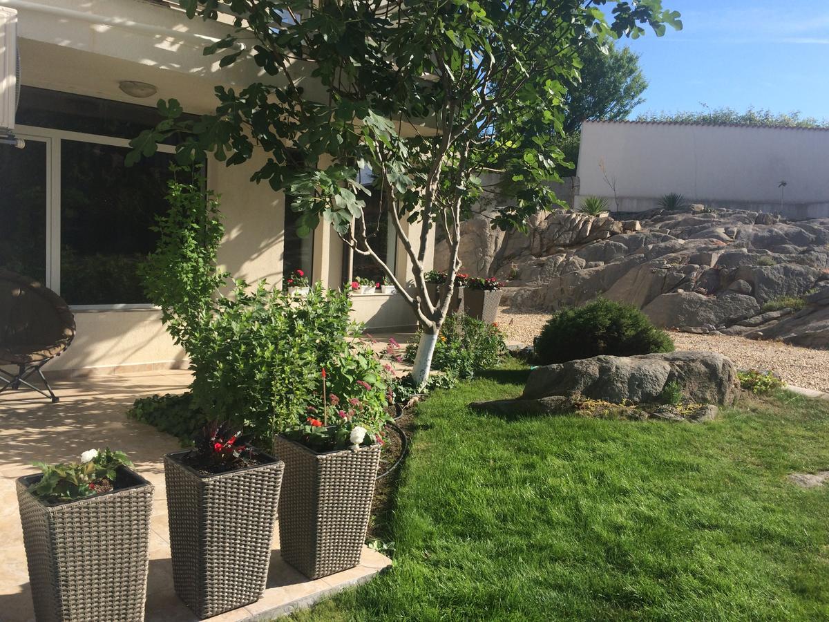 Apolonia Apartament